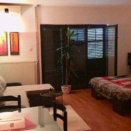 Dusica Apartmani Jagodina Kültér fotó