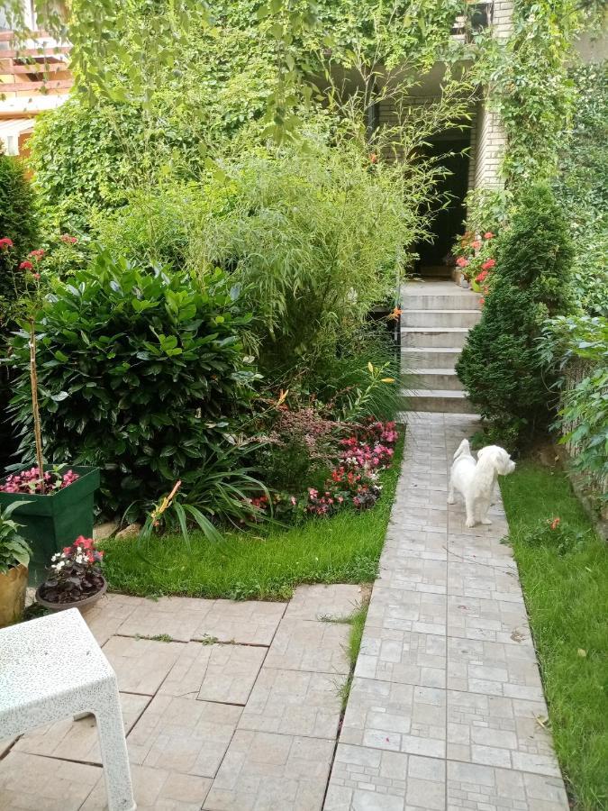 Dusica Apartmani Jagodina Kültér fotó