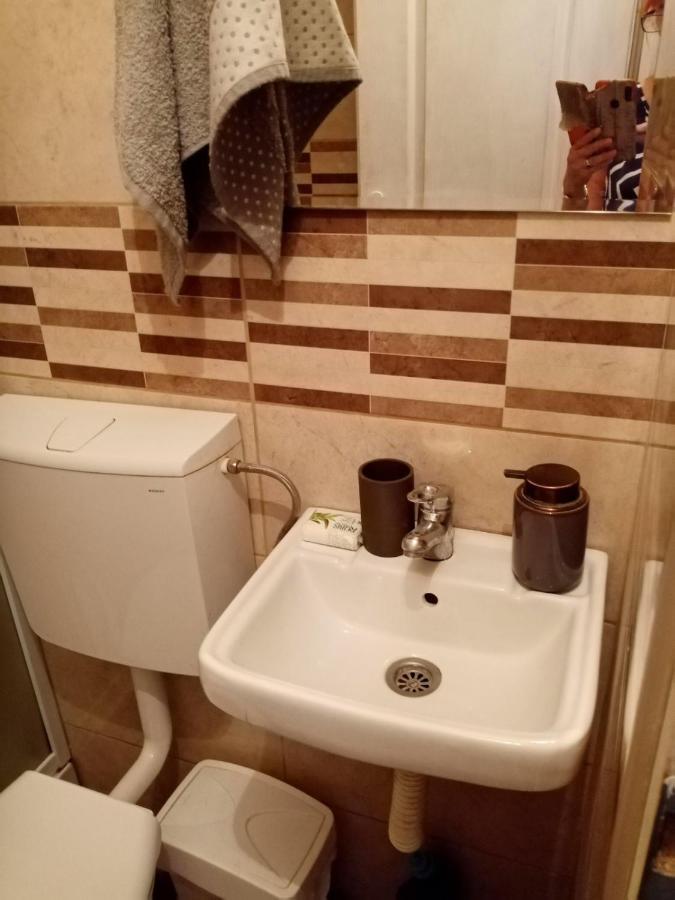 Dusica Apartmani Jagodina Kültér fotó