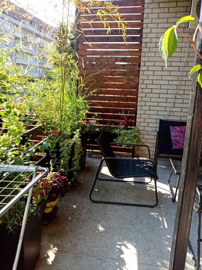 Dusica Apartmani Jagodina Kültér fotó