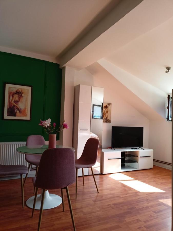 Dusica Apartmani Jagodina Kültér fotó