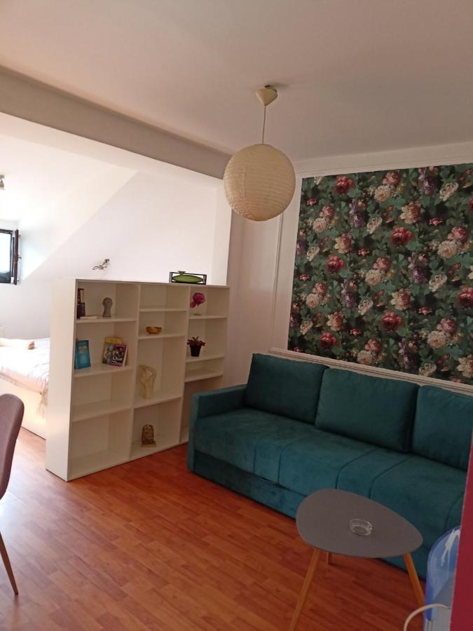 Dusica Apartmani Jagodina Kültér fotó