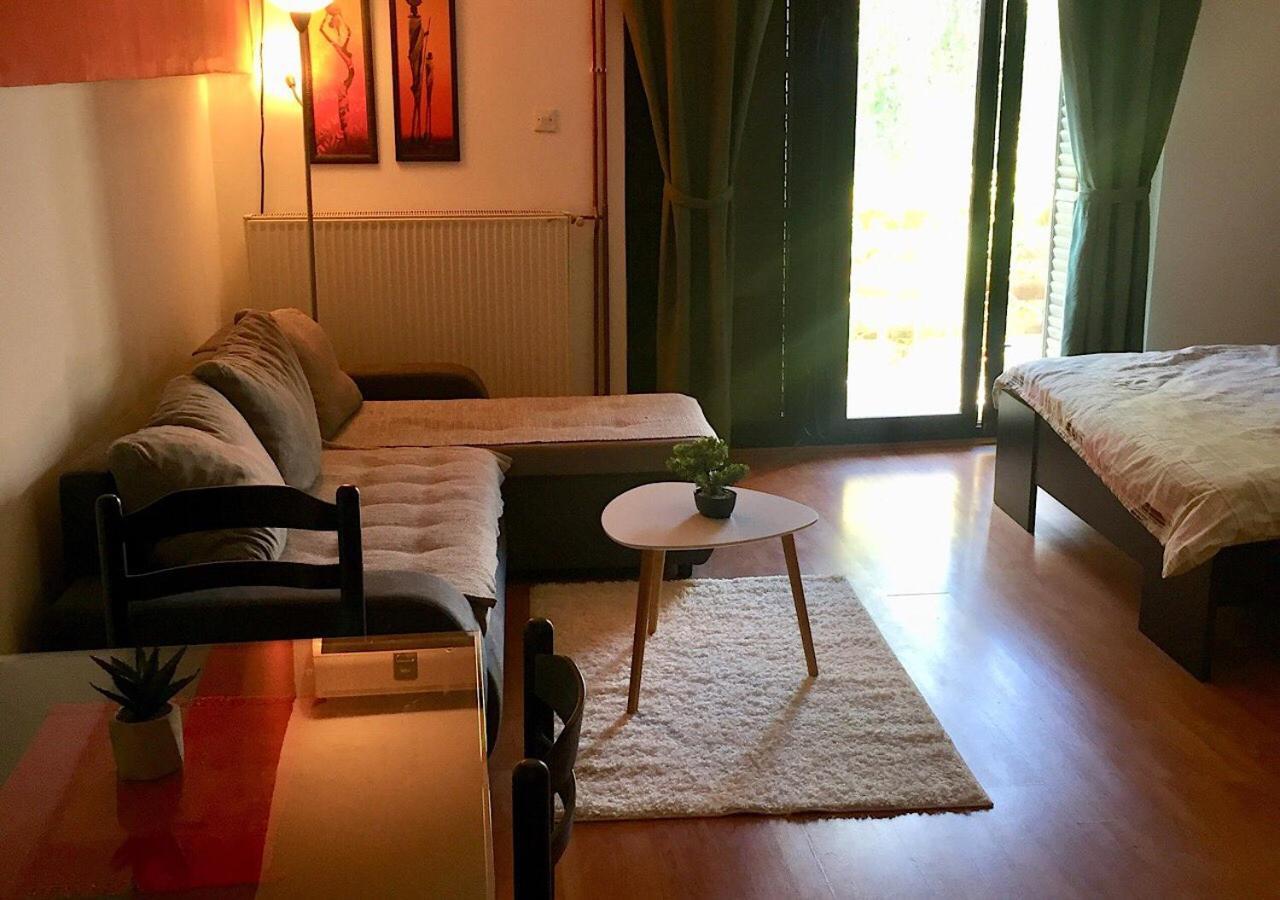 Dusica Apartmani Jagodina Kültér fotó
