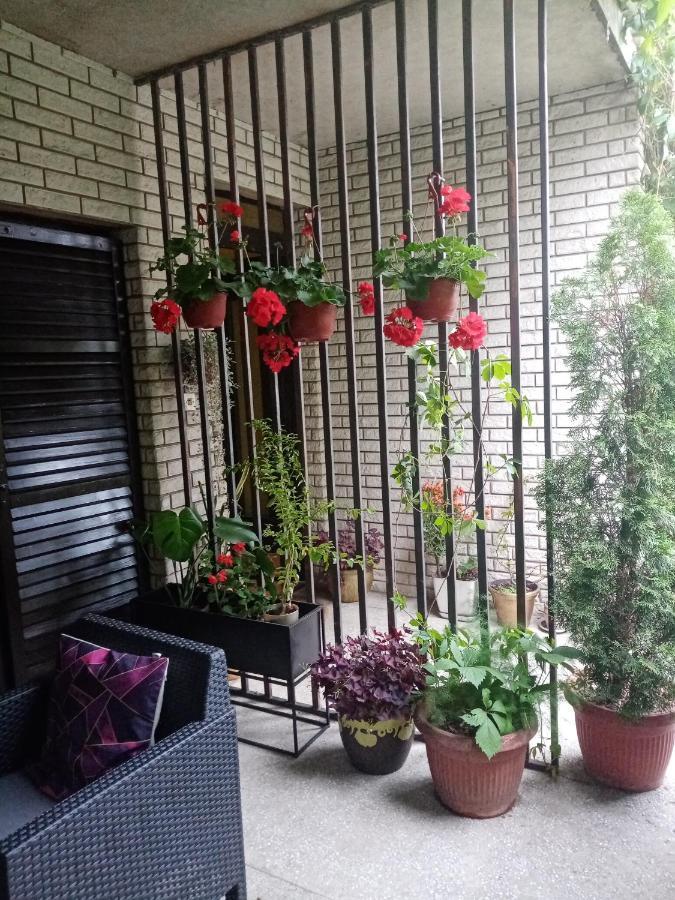 Dusica Apartmani Jagodina Kültér fotó